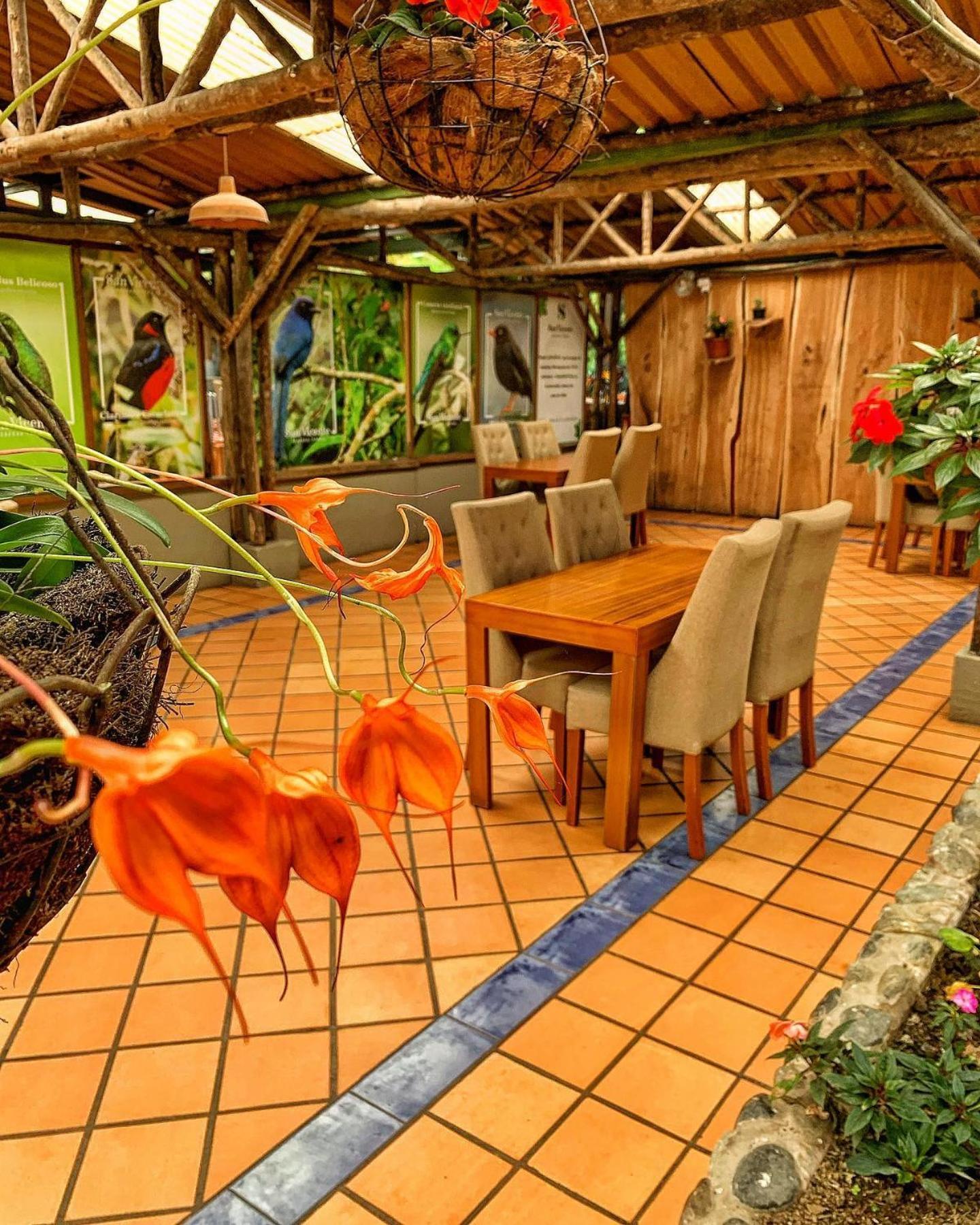 Hotel Termales San Vicente 산타 로사 데 카발 외부 사진